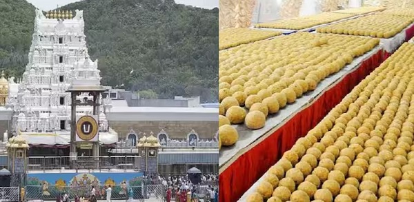 तिरुपति मंदिर के लड्डू प्रसाद में मिलावट का विवाद: SIT जांच शुरू