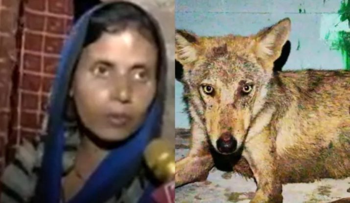 Wolves की दहशत बहराइच में
